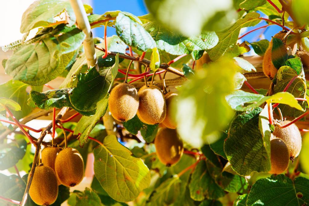 Agriturismo La Coccinella Valfabbrica Zewnętrze zdjęcie