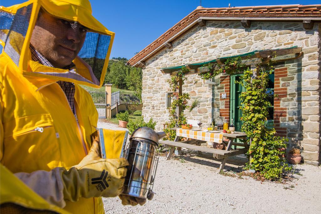 Agriturismo La Coccinella Valfabbrica Zewnętrze zdjęcie