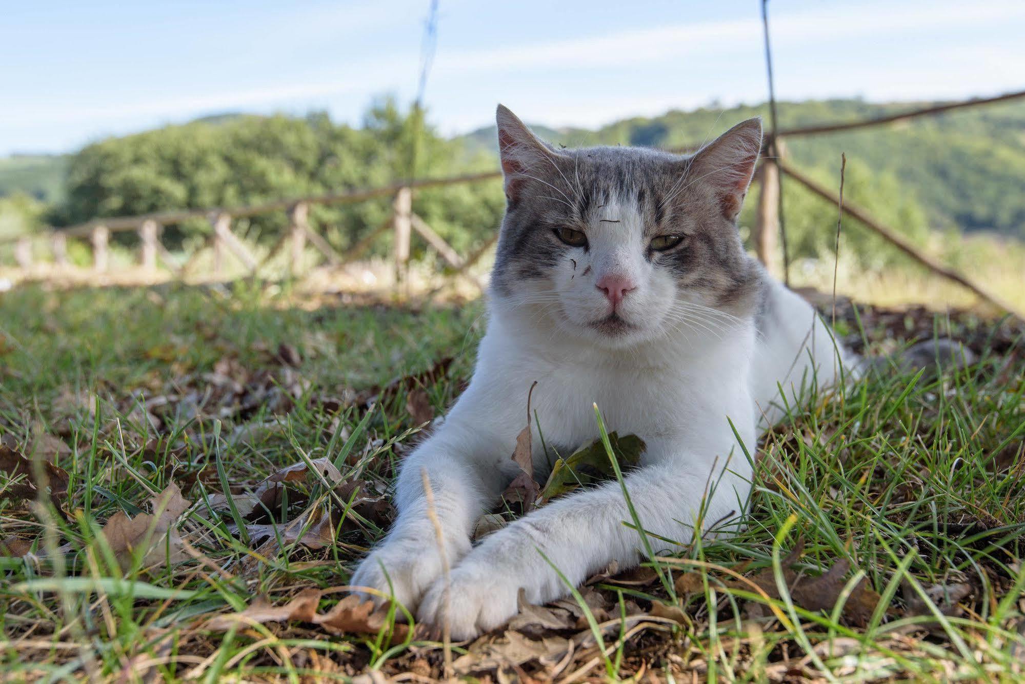 Agriturismo La Coccinella Valfabbrica Zewnętrze zdjęcie